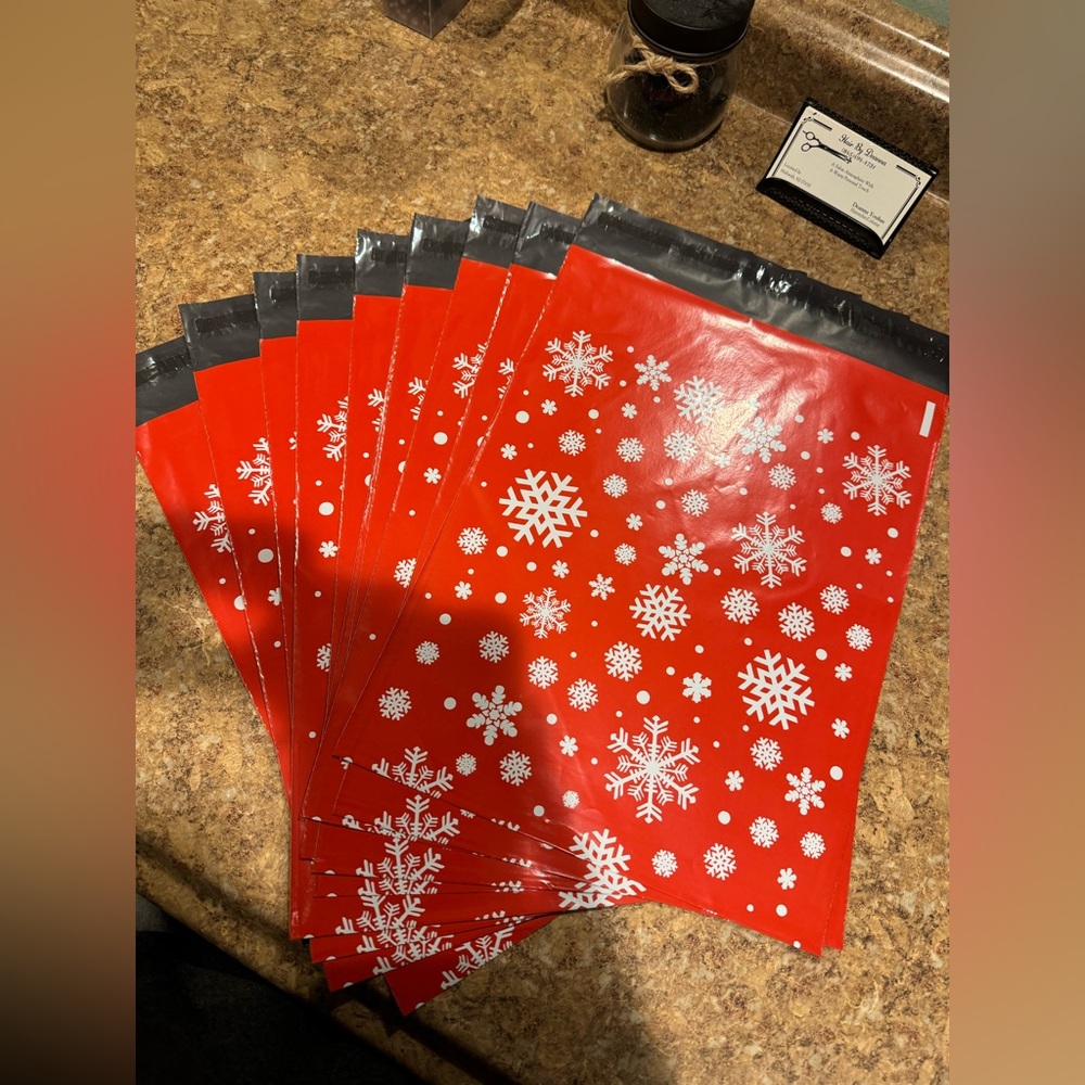 10x13 Poly Mailers Set of 10